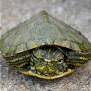 Meet your Posher, Mackenzie